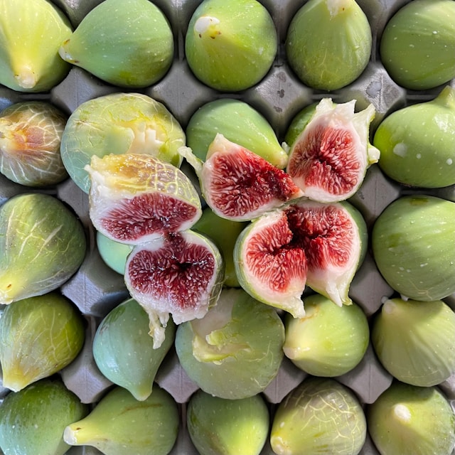 Движение и баланс